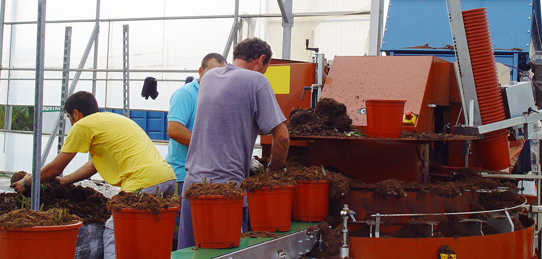 Mecanización de llenado y plantación en macetas