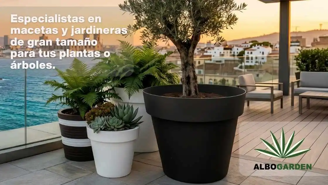 Macetas y jardineras albogarden