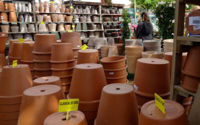 Macetas y jardineras de barro