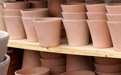 Barro o terracota en macetas y jardineras