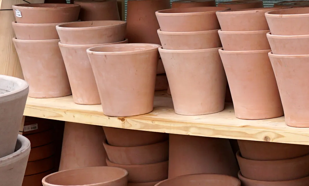 Macetas de barro o terracota