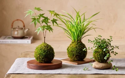 Qué es un kokedama y técnicas de cultivo